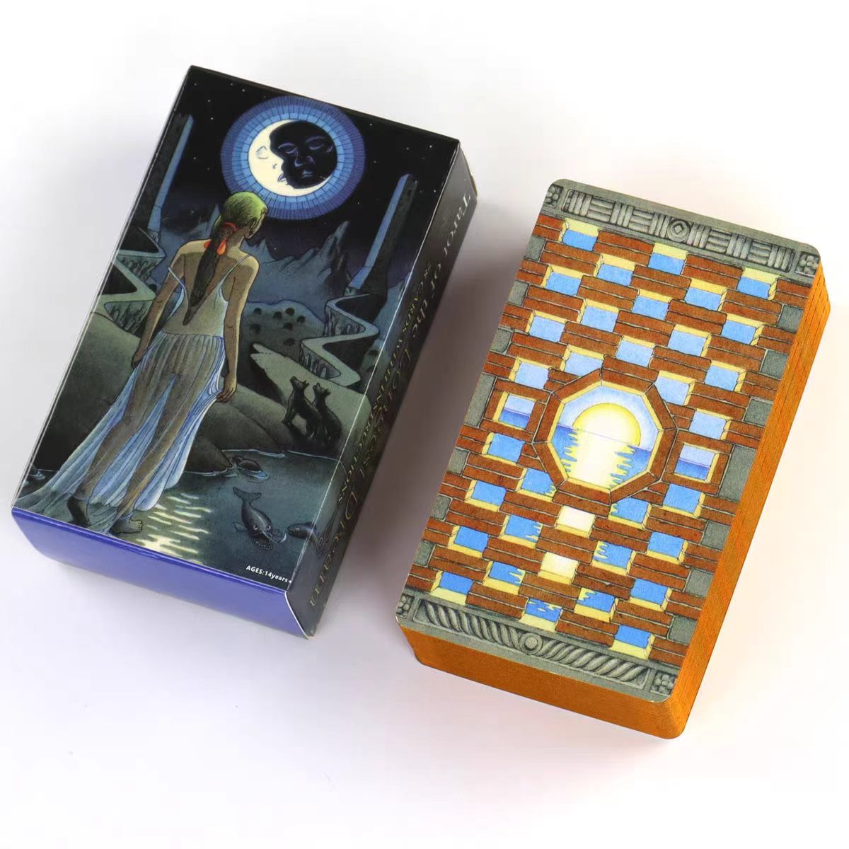 78장의 가장 긴 꿈 카드와 가이드북이 포함된 라이더  - Board Game Of Life 리뷰 및 가격